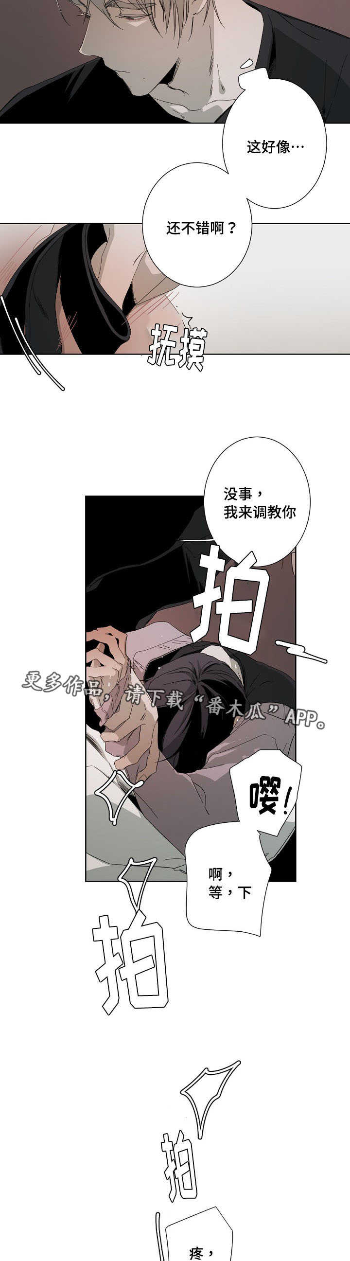 从属漫画,第11章：验收成果3图