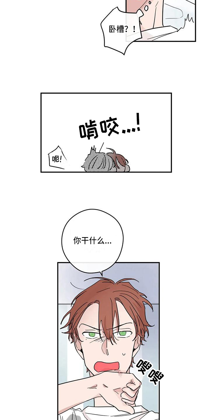 第31章：抗拒2