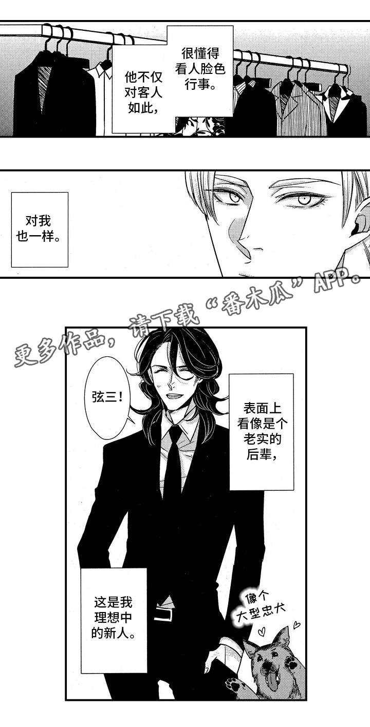 梦想圈漫画,第8章：VIP3图