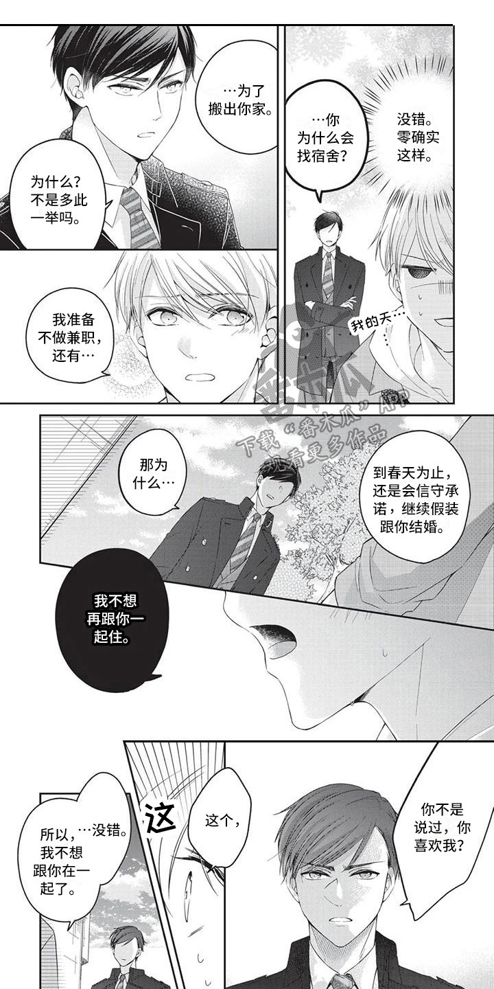 结婚规则漫画,第11章：你的港湾（完结）1图