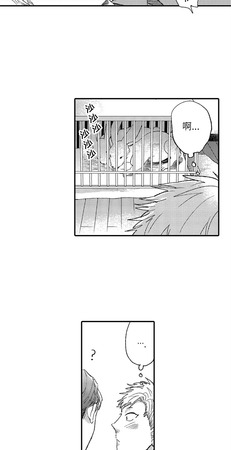 意外偶遇怎么拍漫画,第14章：加油川野3图