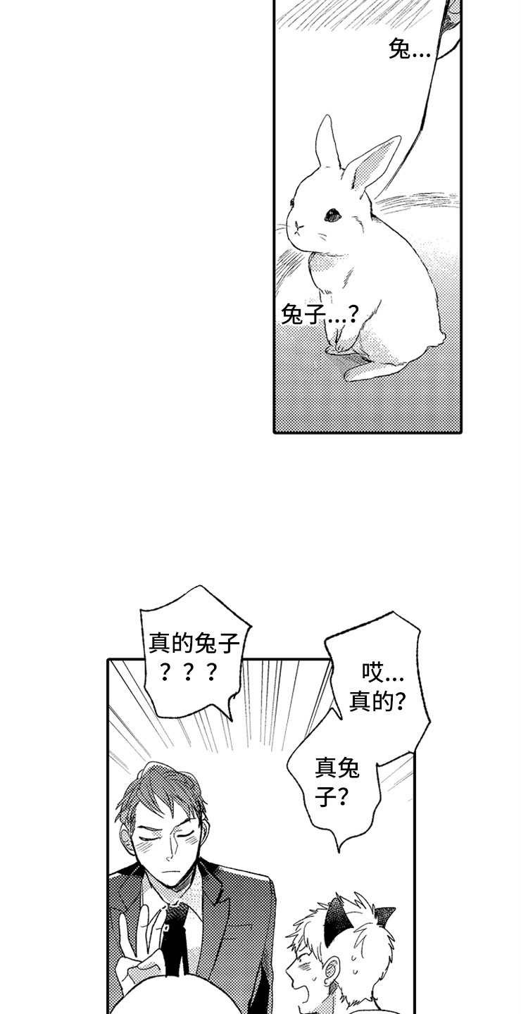 意外杀手电影高清国语版漫画,第7章：最喜欢兔子5图