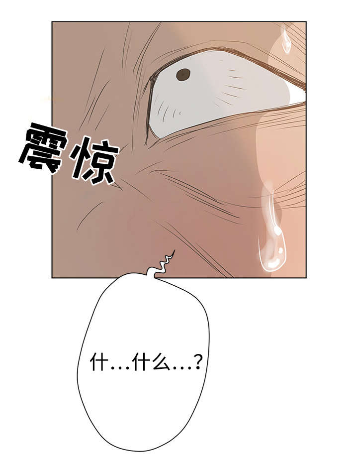 超能面具动态漫画合集漫画,第52章：死而无憾？1图