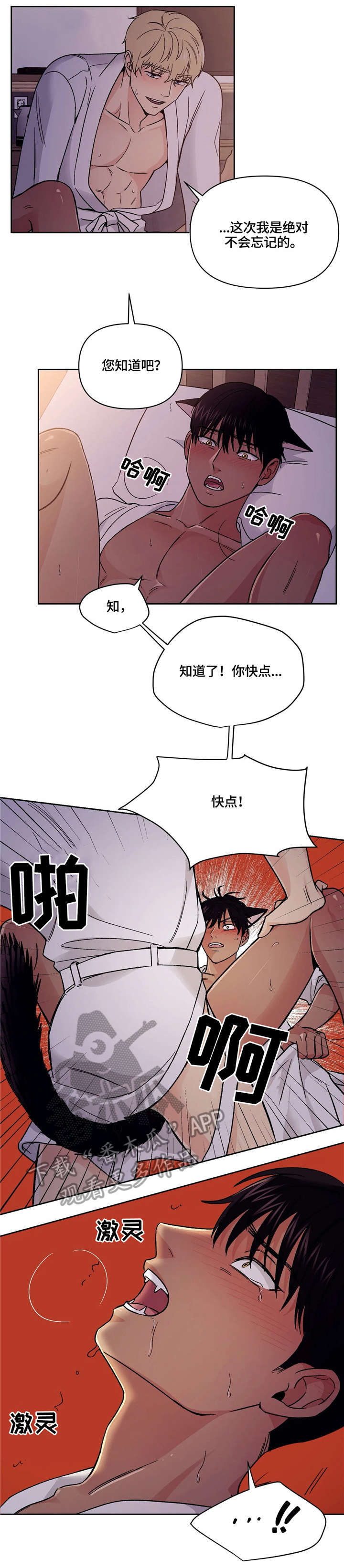 爱我的猫上司漫画,第16章：睡着3图