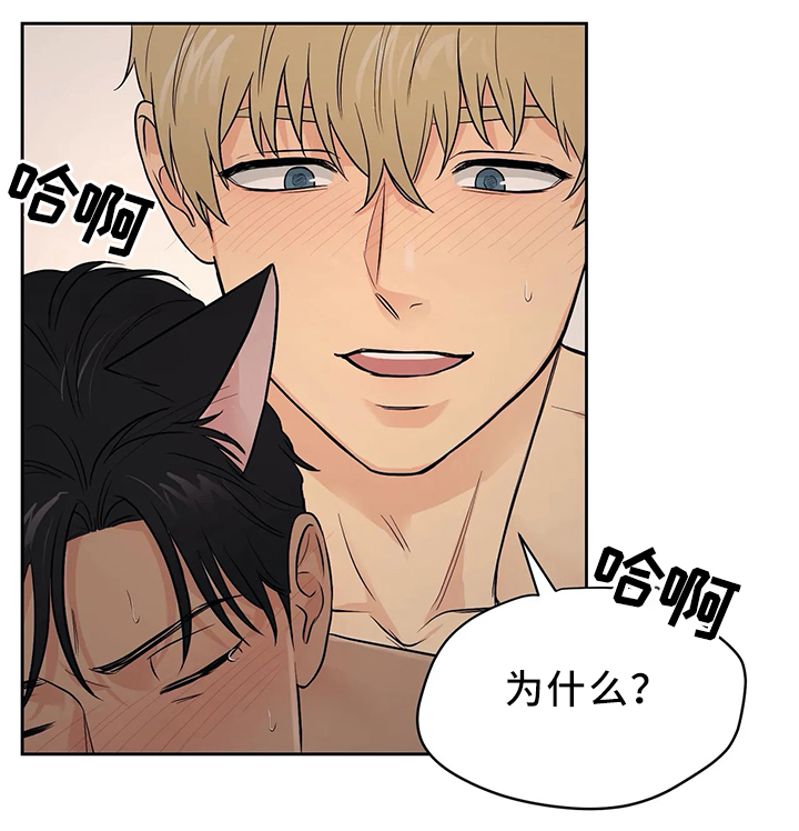 爱我的猫上司漫画,第23章：我都想知道4图