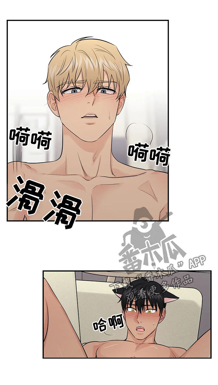 爱我的猫上司漫画,第41章：【第二季】幸福的2图