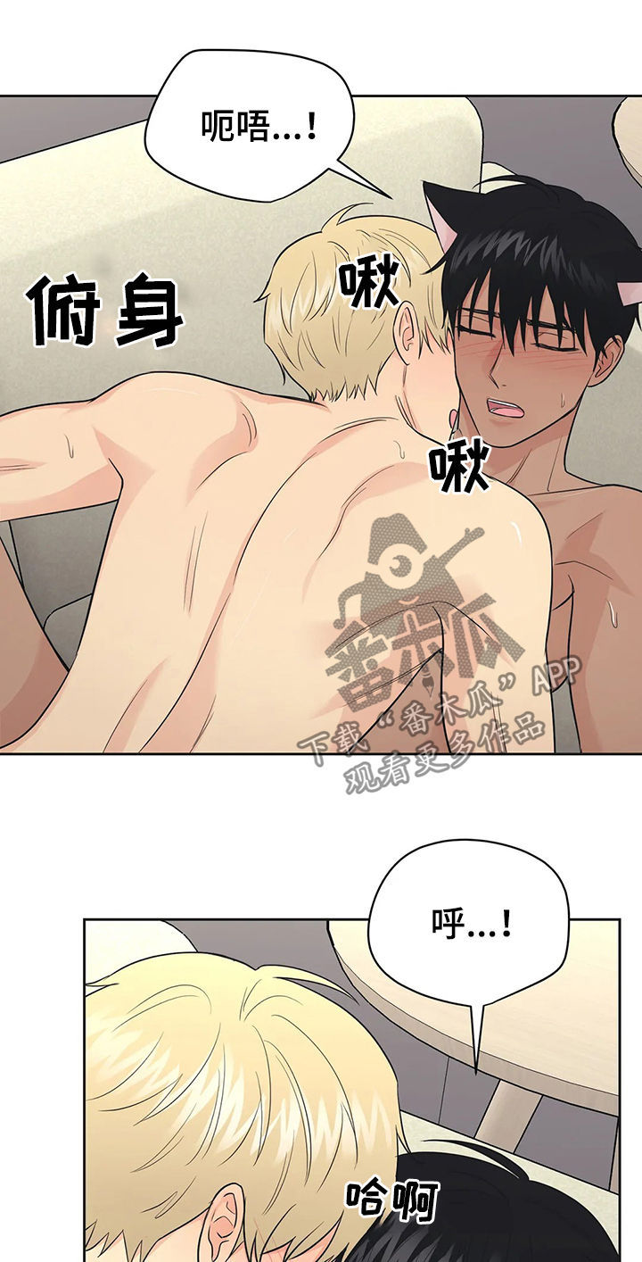 爱我的猫上司漫画,第41章：【第二季】幸福的3图