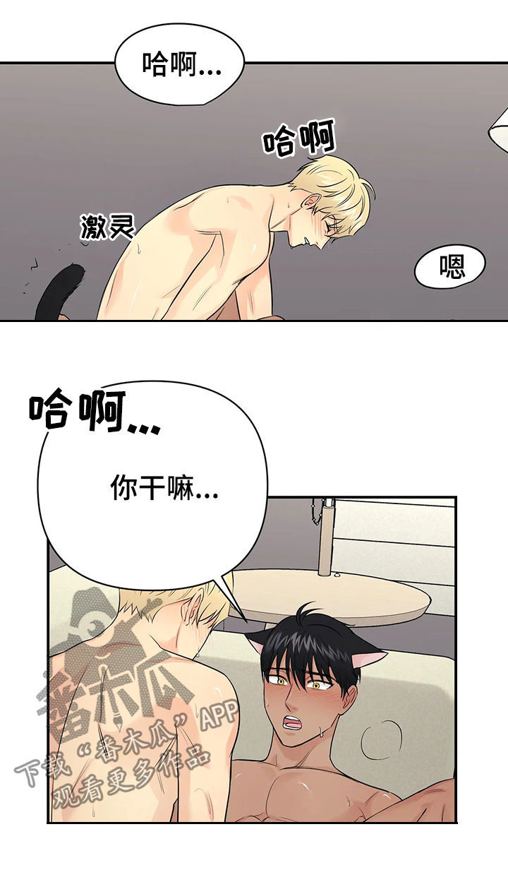 爱我的猫上司漫画,第41章：【第二季】幸福的4图