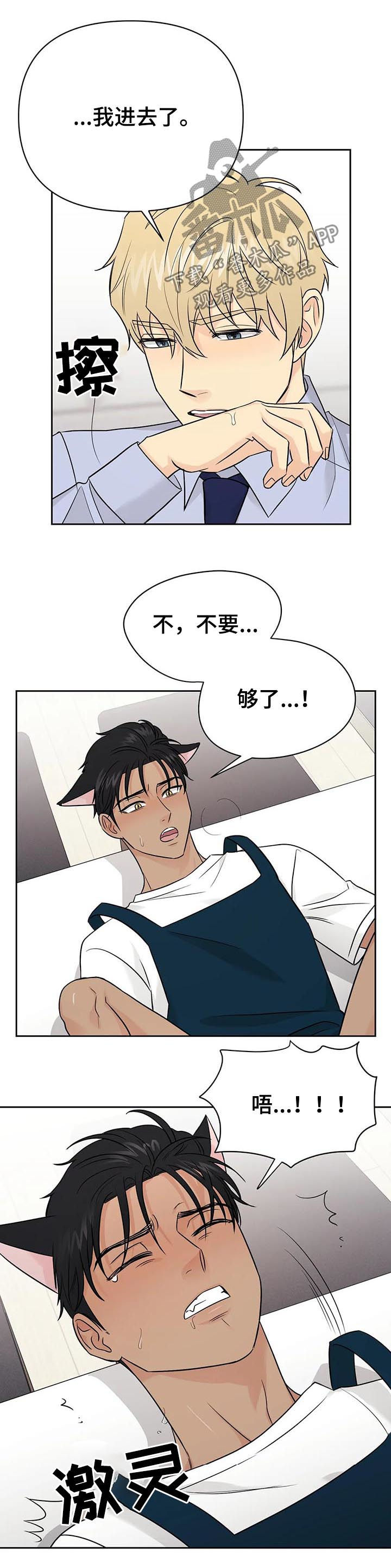 爱我的猫上司漫画,第46章：【第二季】需要更多4图