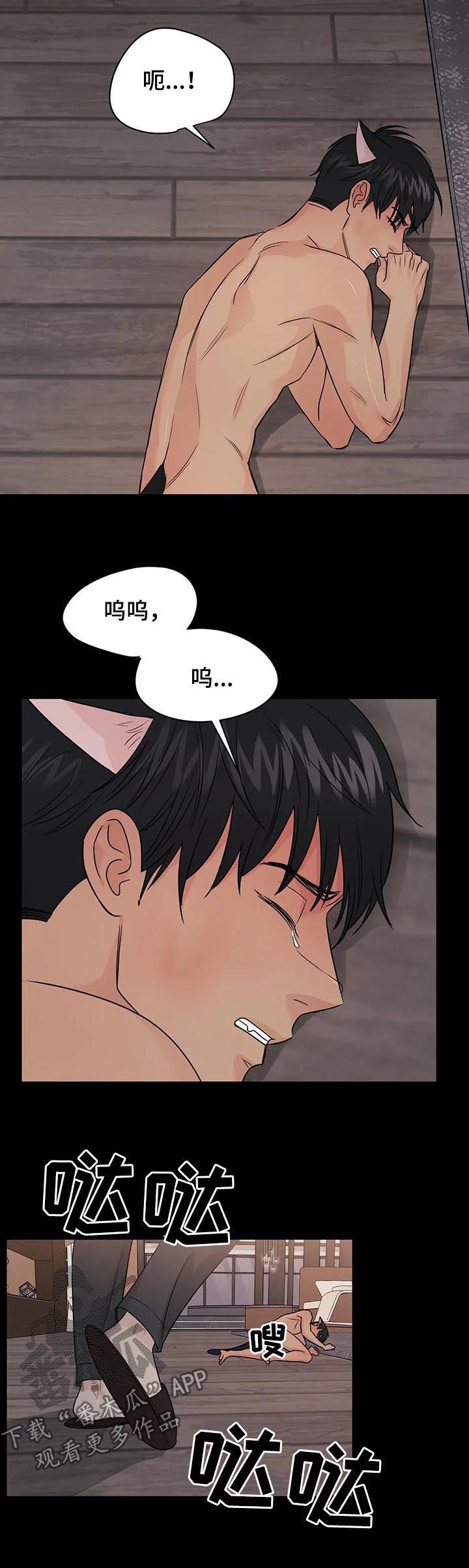 爱我的猫上司漫画,第51章：【第二季】过去4图