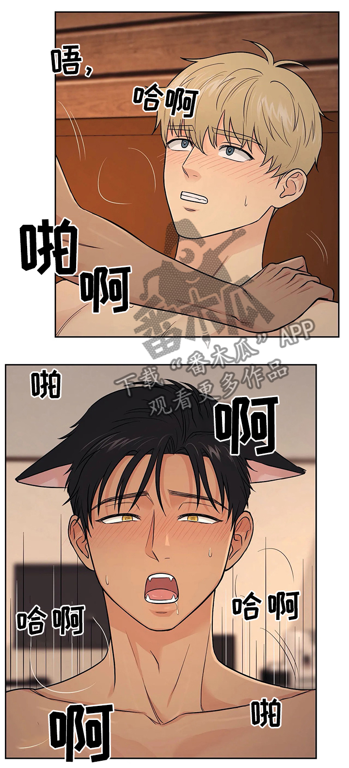 爱我的猫上司漫画,第23章：我都想知道5图