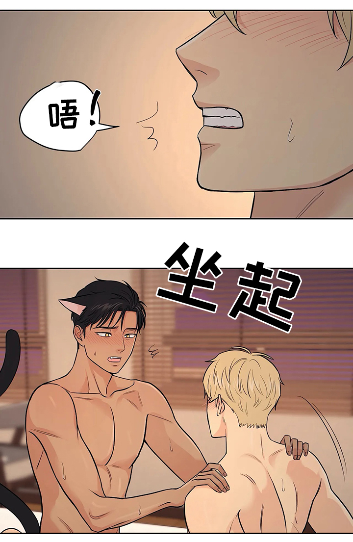 爱我的猫上司漫画,第23章：我都想知道1图