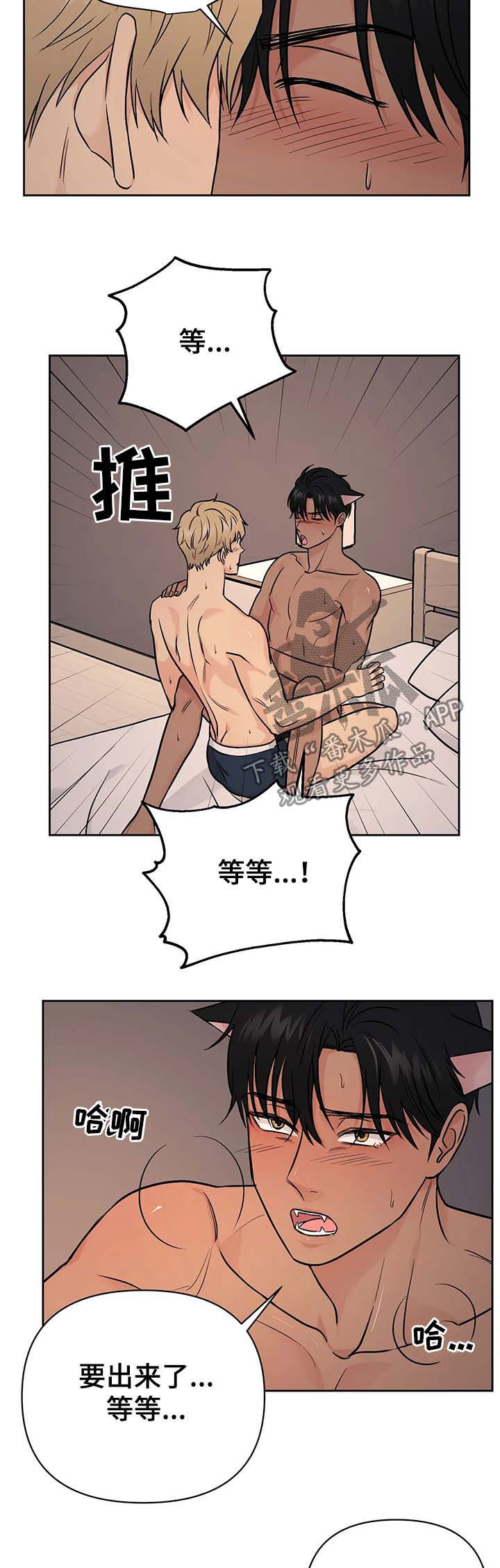 爱我的猫上司漫画,第35章：【第二季】可爱4图