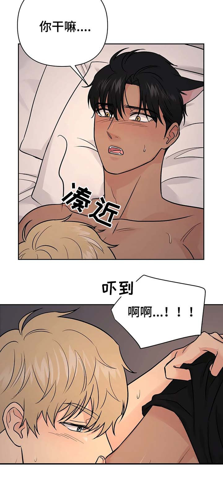 爱我的猫上司漫画,第35章：【第二季】可爱1图