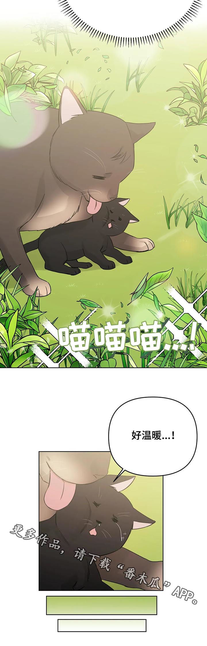 爱我的猫上司漫画,第65章：【番外】甜蜜之吻12图