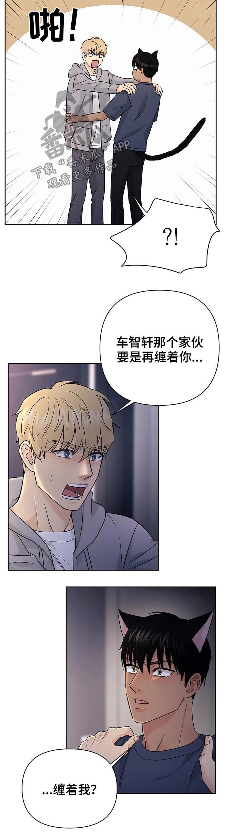 爱我的猫上司漫画,第53章：【第二季】只要在一起2图