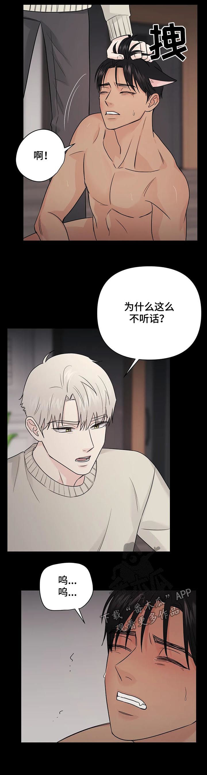 爱我的猫上司漫画,第51章：【第二季】过去5图