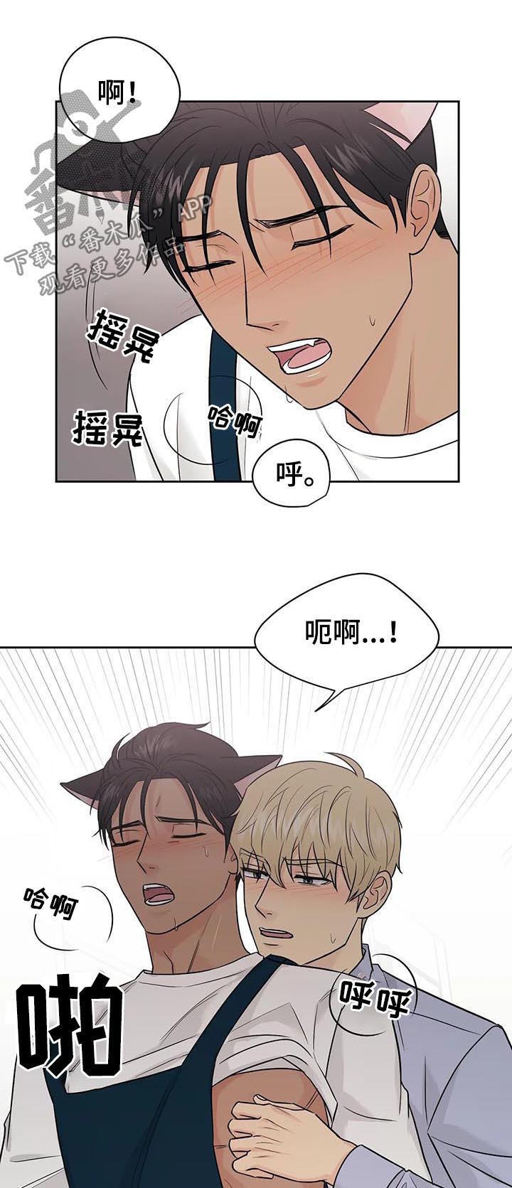 爱我的猫上司漫画,第46章：【第二季】需要更多5图