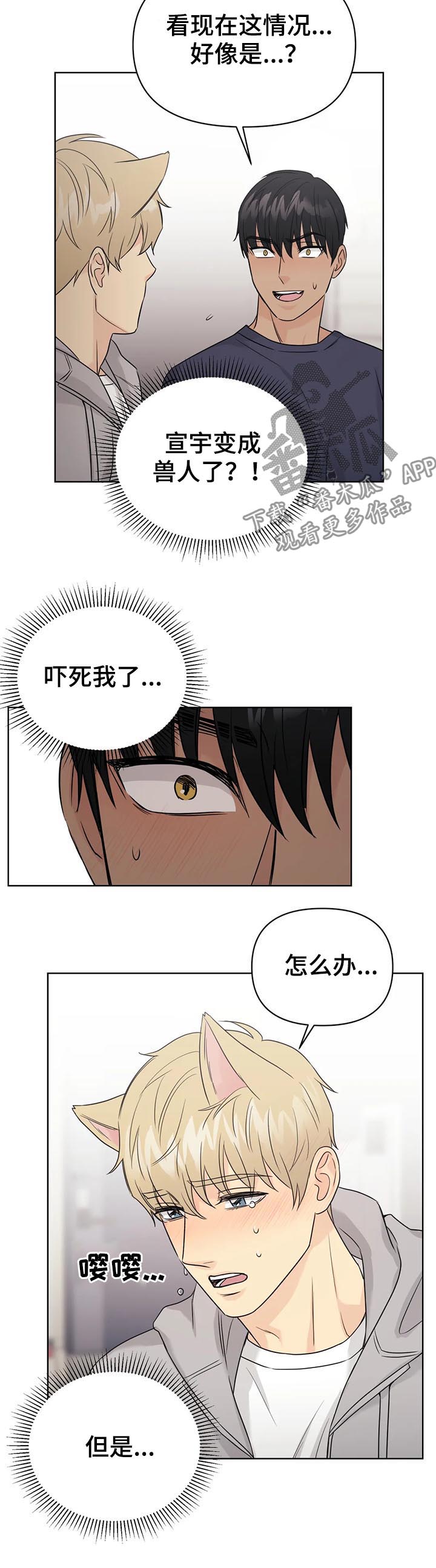 爱我的猫上司漫画,第62章：【番外】呆呆的宣宇11图