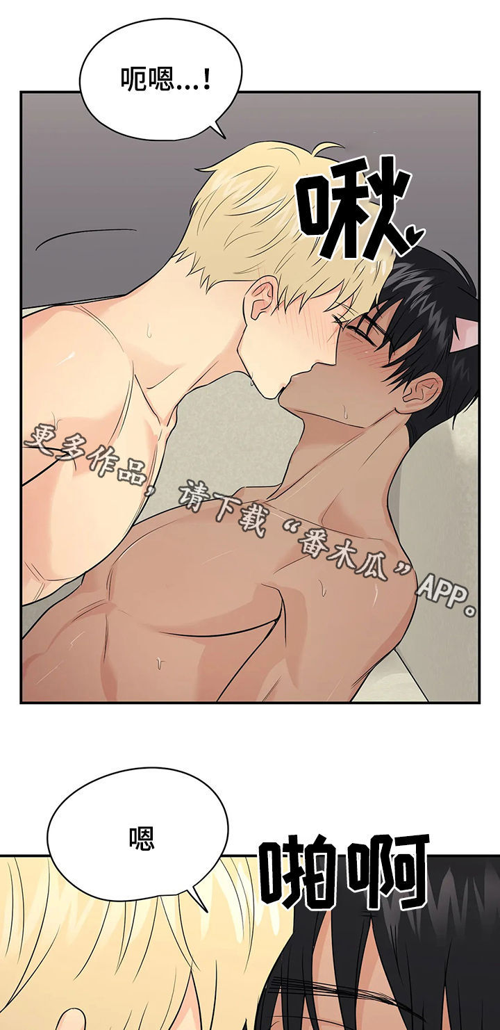 爱我的猫上司漫画,第41章：【第二季】幸福的5图