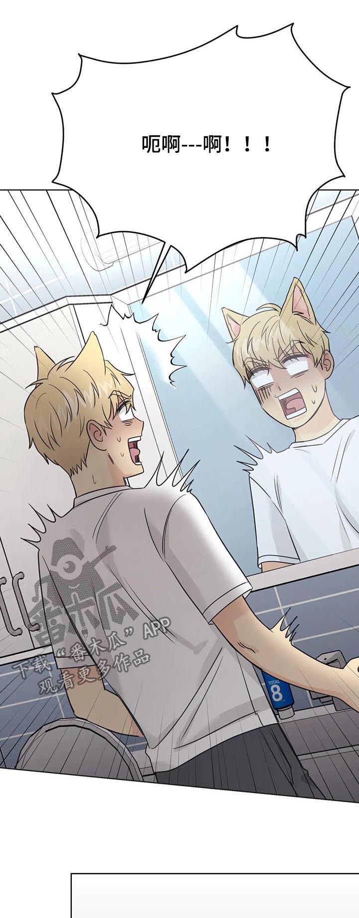 爱我的猫上司漫画,第62章：【番外】呆呆的宣宇14图