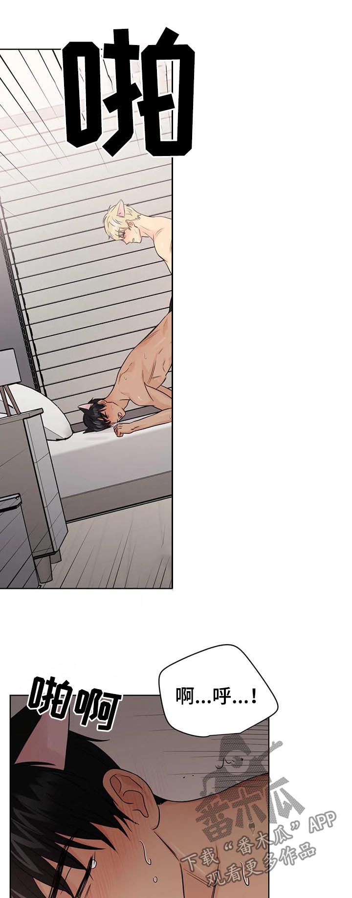 爱我的猫上司漫画,第63章：【番外】呆呆的宣宇22图