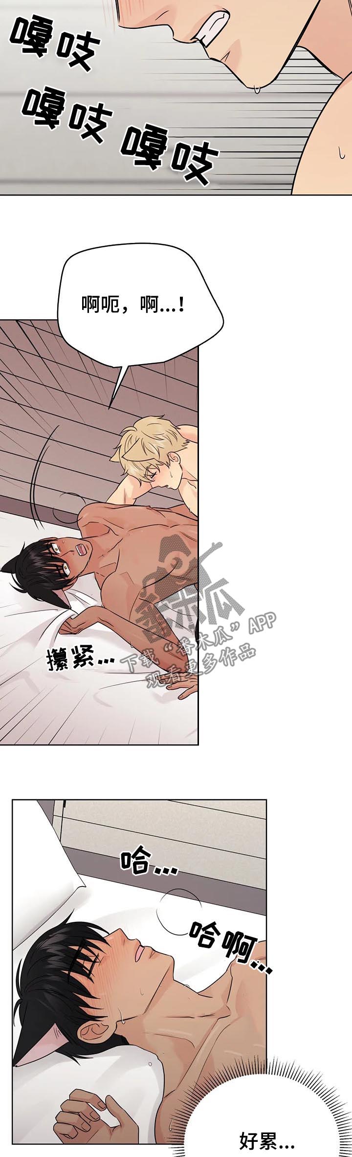 爱我的猫上司漫画,第64章：【番外】呆呆的宣宇34图