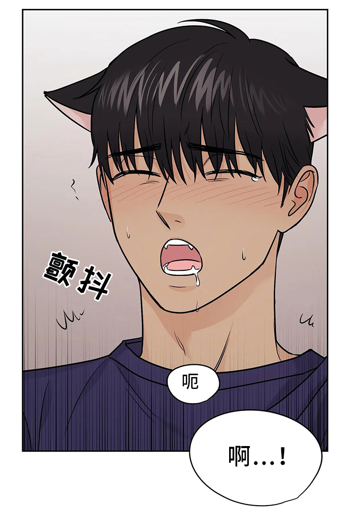 爱我的猫上司漫画,第29章：洗澡的时光2图