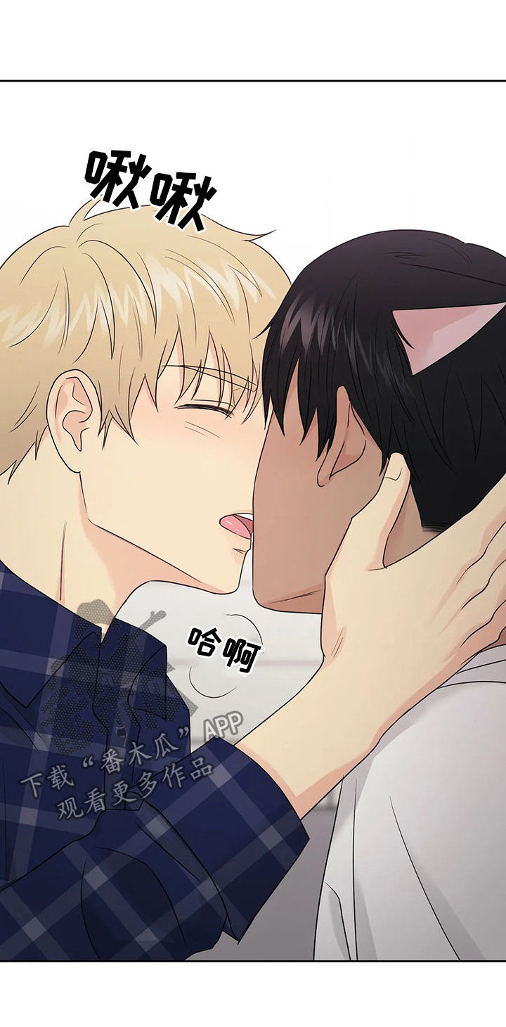 爱我的猫上司漫画,第41章：【第二季】幸福的1图