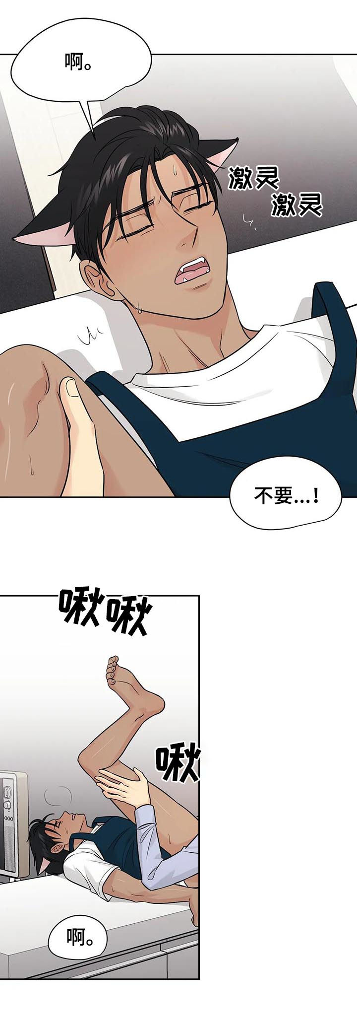 爱我的猫上司漫画,第46章：【第二季】需要更多3图