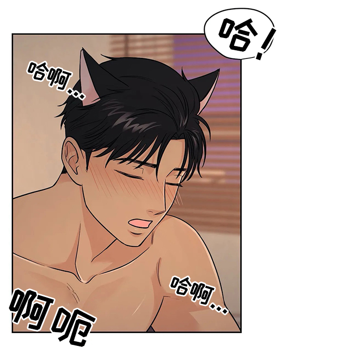 爱我的猫上司漫画,第23章：我都想知道2图