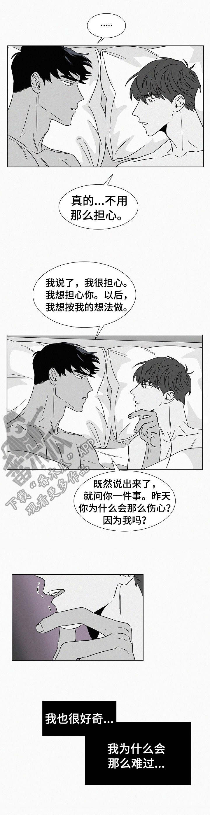 狂野美式的黄色含义漫画,第39章：安全感2图