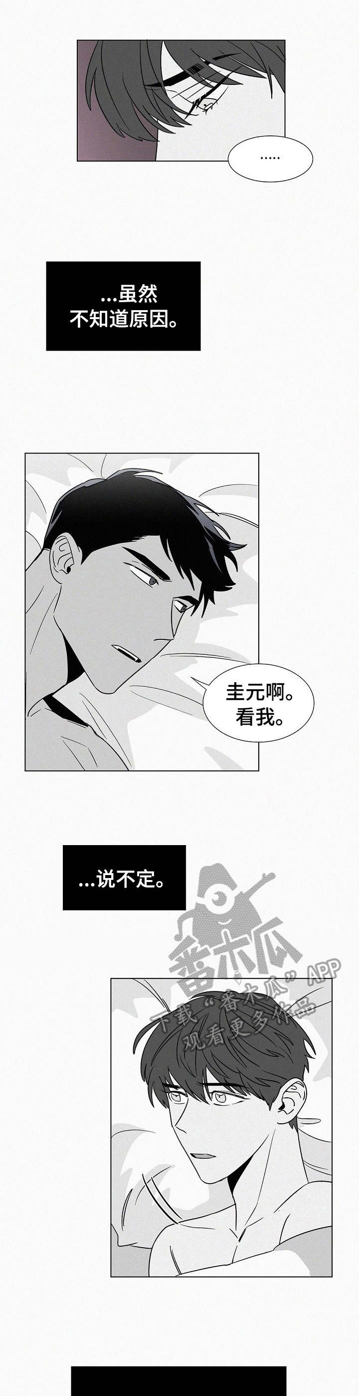 狂野美式的黄色含义漫画,第39章：安全感3图
