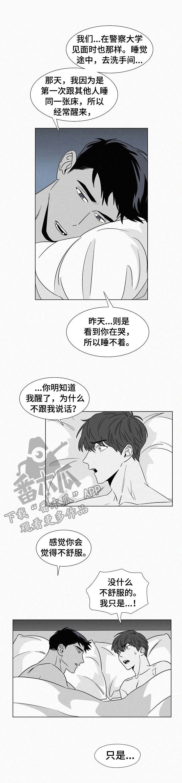 狂野美式的黄色含义漫画,第39章：安全感1图