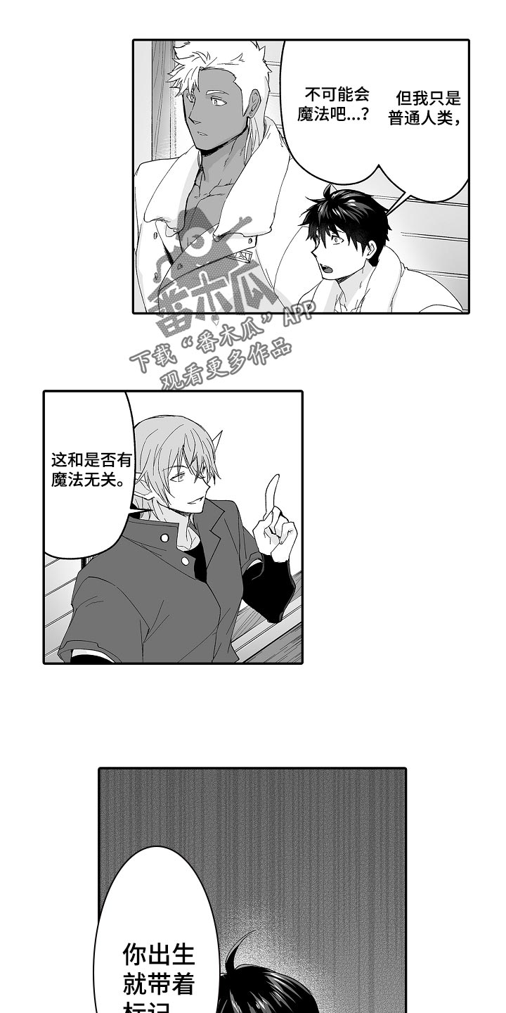 巨型新娘漫画,第64章：他也可以使用魔法5图