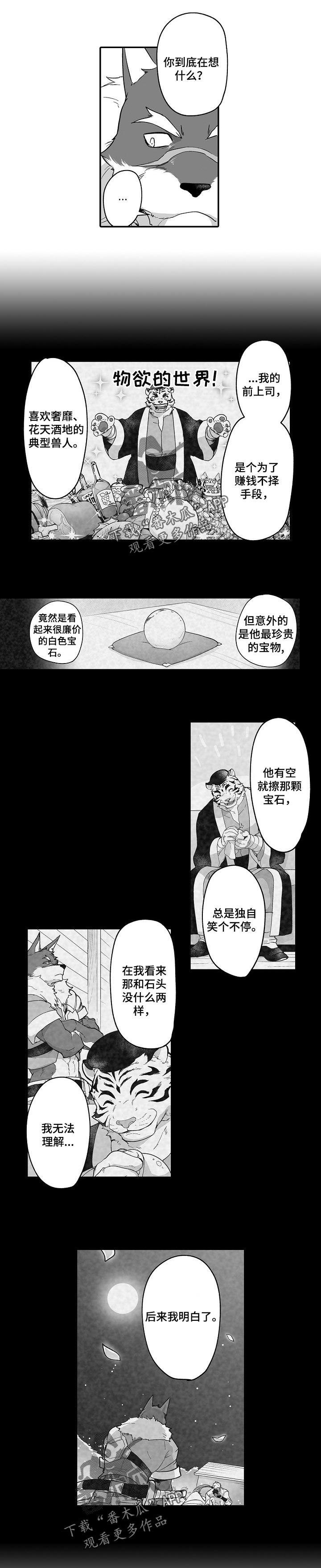 巨型新娘漫画,第48章：一直看下去4图
