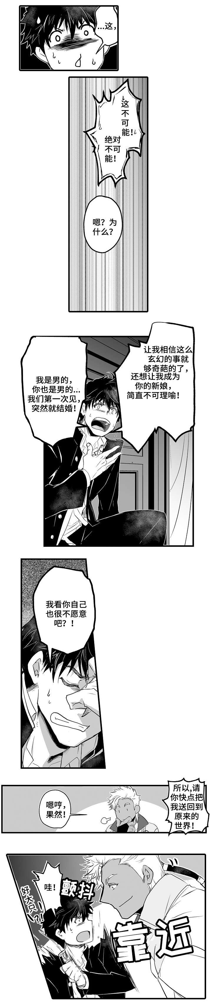 巨型新娘漫画,第3章：新娘3图