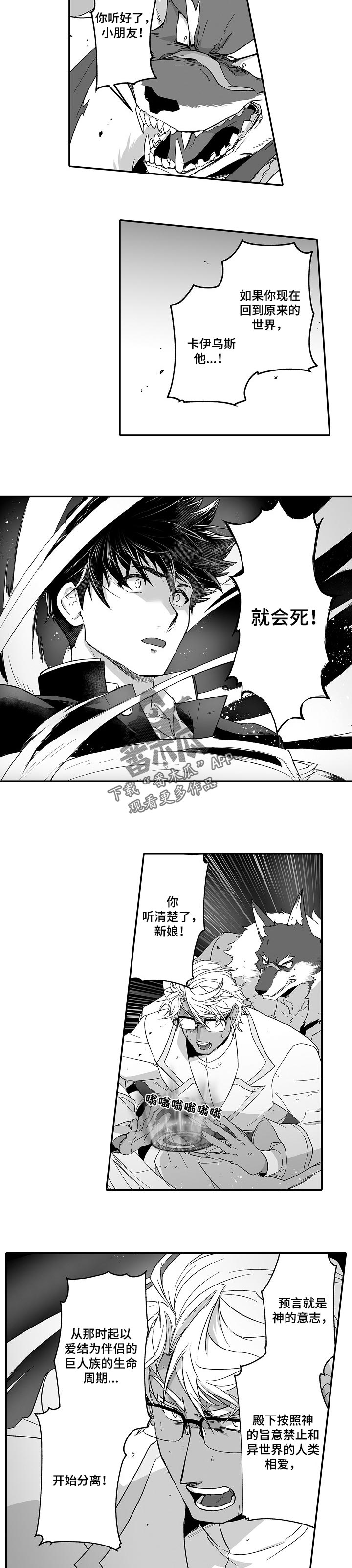 巨型新娘漫画,第44章：你比谁都清楚4图