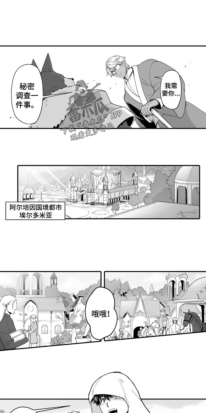 巨型新娘漫画,第55章：秘密调查5图