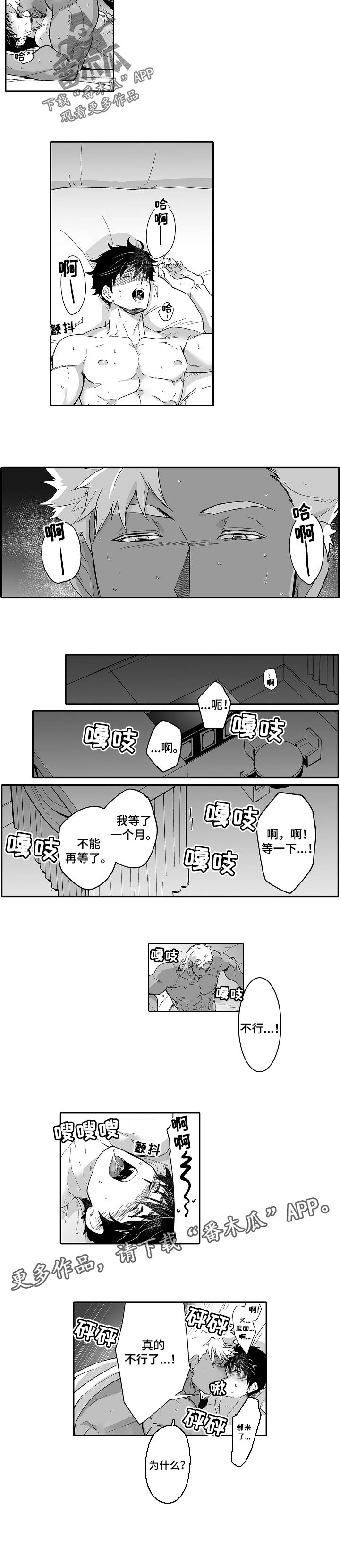 巨型新娘漫画,第52章：不能再等了5图
