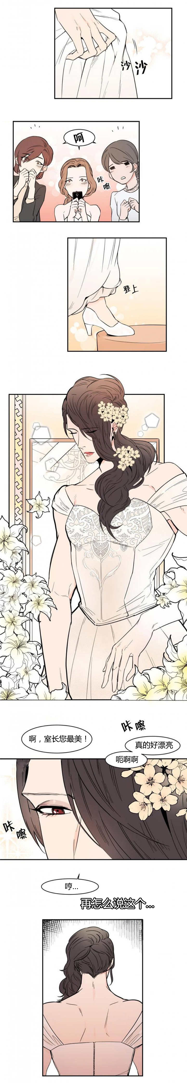 盛装只为错过你小说漫画,第56章：我漂亮吗3图