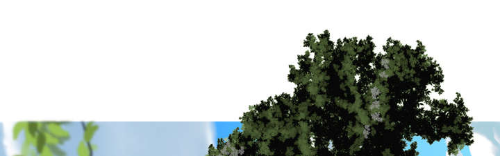 黑桃漫画,第32章：爱得疯狂1图