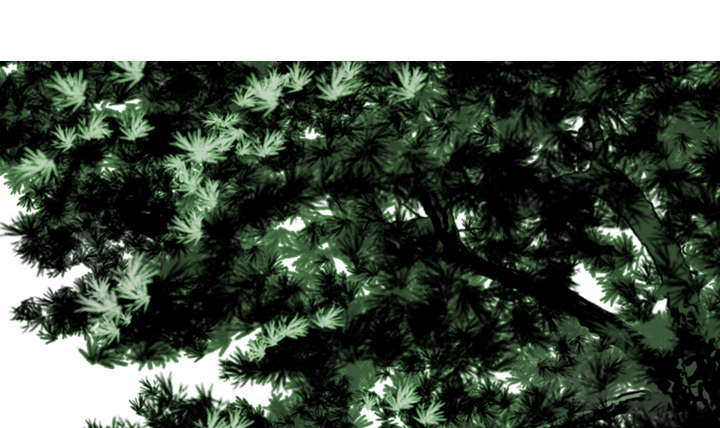 黑桃漫画,第66章：验货1图