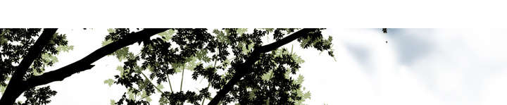 黑桃漫画,第112章：大结局4图