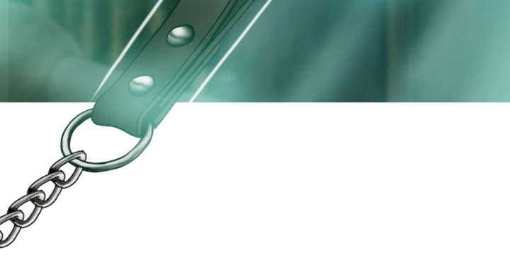 黑桃漫画,第76章：最后的机会3图