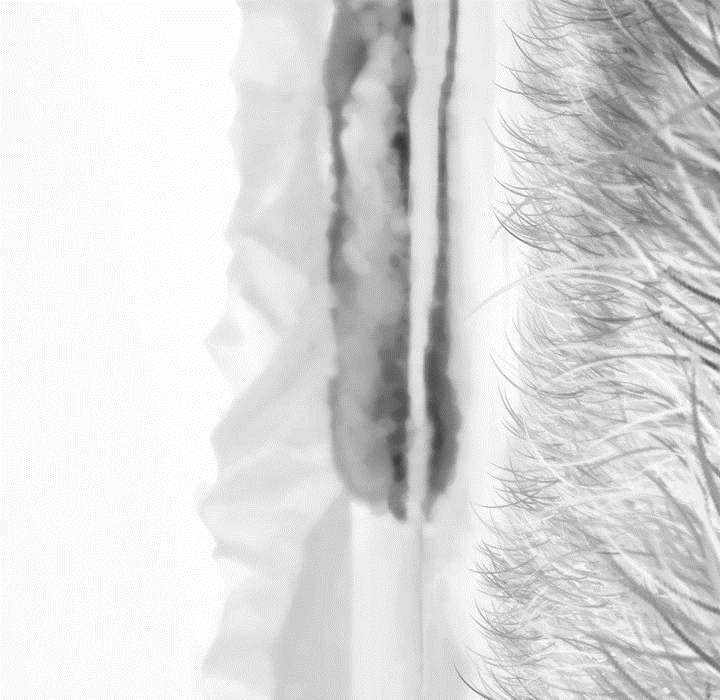 黑桃漫画,第21章：忘不掉4图