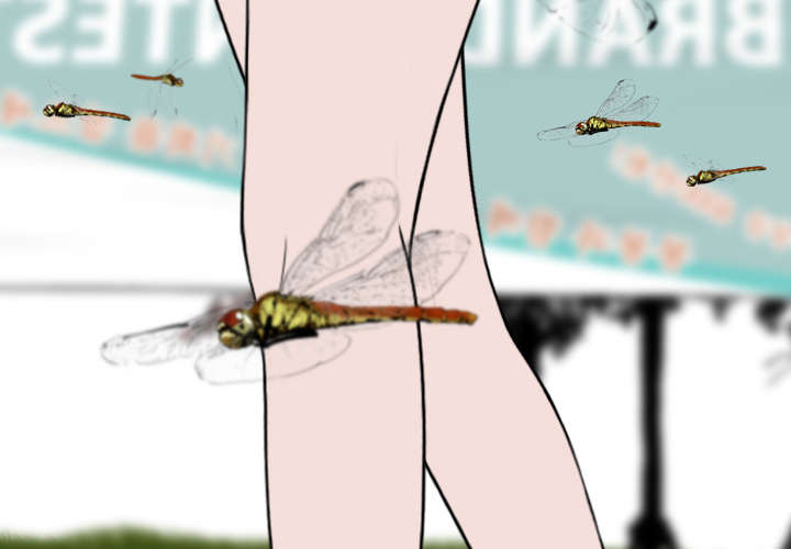 黑桃漫画,第77章：难以抉择2图