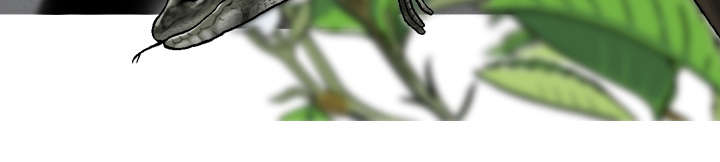 黑桃漫画,第79章：争锋相对3图