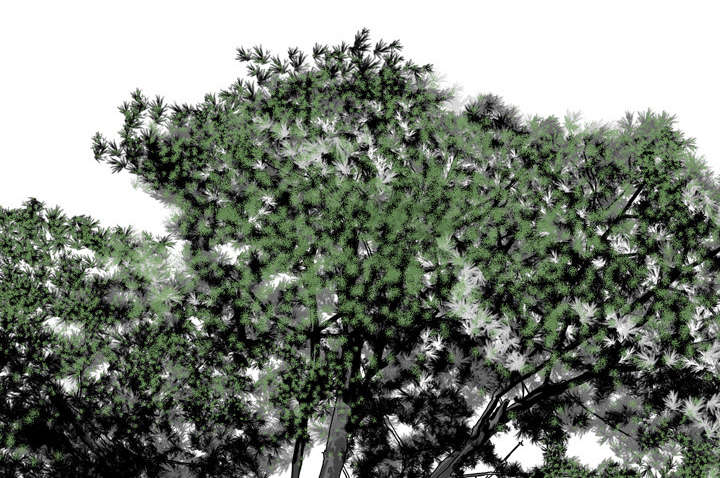 黑桃漫画,第60章：助你一臂之力1图