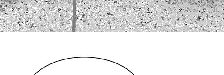 黑桃漫画,第105章：姐姐帮你5图